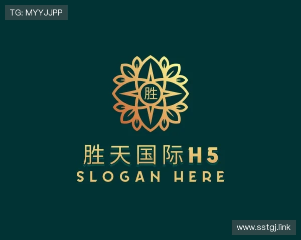 发现胜天国际h5